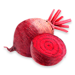 Betterave